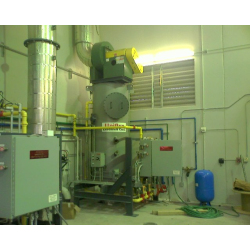 Vegetable Oil & Food Processing